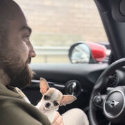 ���������� ������, ���� ������� �����, 33 ����, ������������ ��� ������, ����� � ���������