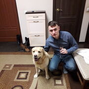 ���������� ������, ���� ������� �������, 36 ���, ������������ ��� c�������� ���������, ���������