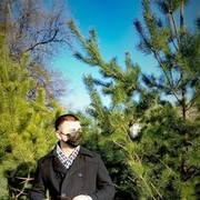 ���������� ����������, ���� ������� ���������, 37 ���, ������������ ��� ������, ����� � ���������, c�������� ���������