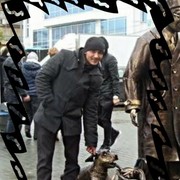 ���������� ����������, ���� ������� �������, 37 ���, ������������ ��� ������, ����� � ���������, c�������� ���������