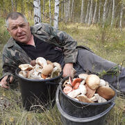 ���������� ���������, ���� ������� �������, 59 ���, ������������ ��� ������, ����� � ���������