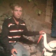  ,   , 37 ,   , 
