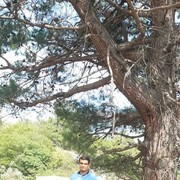  ,   Hakim, 27 ,   ,   , c 