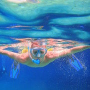 ���������� ������, ���� ������� �������, 41 ���, ������������ ��� ������