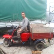  ,   Shpon, 52 ,   ,   , c , 