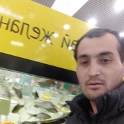  -,  , 41