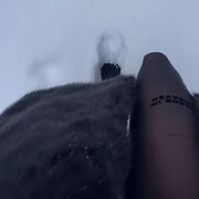 ���������� ���������, ��������