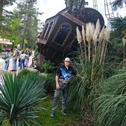 ���������� ������, ���� ������� �����, 66 ���, ������������ ��� ������, ����� � ���������, c�������� ���������