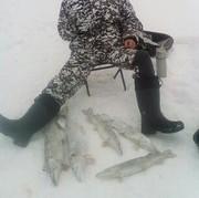 ���������� ������, ���� ������� ���������, 36 ���, ������������ ��� ������, ����� � ���������, c�������� ���������