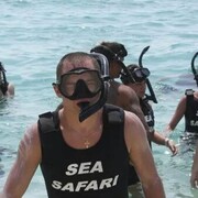 ���������� ����������, ���� ������� �������, 40 ���, ������������ ��� ������, ����� � ���������, c�������� ���������, ���������