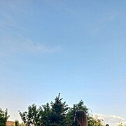  ,  , 28