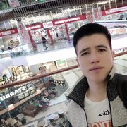 ���������� �����-���������, ���� ����� SHoxruxbek, 24 ����, ������������ ��� ������, ����� � ���������, c�������� ���������