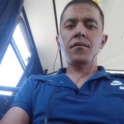  -,   , 41 ,   