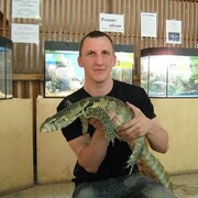 ���������� �������, ���� ������� ����, 38 ���, ������������ ��� c�������� ���������