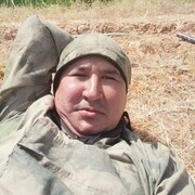 ���������� ���������, ������� ������, 43