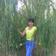 ���������� ��������, ���� ������� �������, 66 ���, ������������ ��� ������, ����� � ���������, c�������� ���������