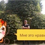 ���������� �����������, ���� ������� Vitaliy, 36 ���, ������������ ��� ������, ����� � ���������, c�������� ���������