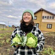 ���������� ������, ���� ������� ��������, 36 ���, ������������ ��� ������, ����� � ���������