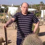  Ashqelon,   , 66 ,     , c 