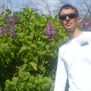  ,   , 49 ,     , c 