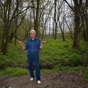 ���������� ������-��-����, ���� ������� ���������, 60 ���, ������������ ��� ������, ����� � ���������