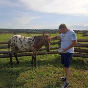 ���������� ������, ���� ������� �����, 37 ���, ������������ ��� ������, ����� � ���������, c�������� ���������, ���������