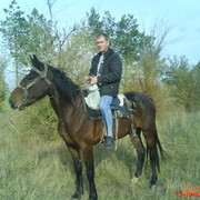 ,   Slava, 50 ,   