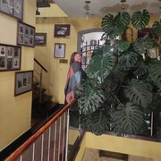  -,   Juliya, 58 ,   ,   