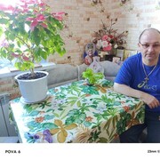  ,   , 44 ,   c , 