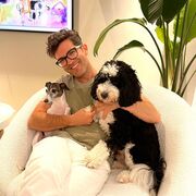 ���������� ������, ���� ������� �������, 37 ���, ������������ ��� ������, ����� � ���������, c�������� ���������, ���������