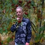 ���������� �����������, ���� ������� �����, 62 ����, ������������ ��� ������, ����� � ���������, c�������� ���������