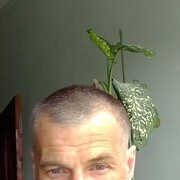  ,   , 49 ,     , 