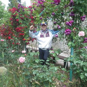  ,   , 68 ,   ,   , c 