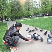 ���������� ������, ���� ������� ����, 40 ���, ������������ ��� ������, ����� � ���������