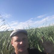  ,   Vel, 41 ,     , c 