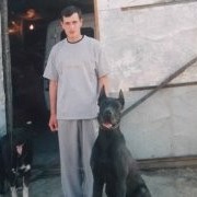  -,  dima, 50