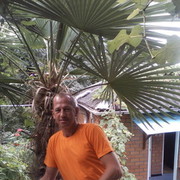  ,   Sergo, 50 ,   