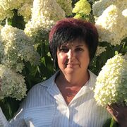 ���������� ��������, ������� ��������, 50