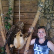 ���������� �������, ���� ������� ������, 44 ����, ������������ ��� ������, ����� � ���������, c�������� ���������