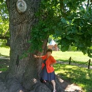 ���������� ��������, ���� ������� �������, 53 ����, ������������ ��� c�������� ���������