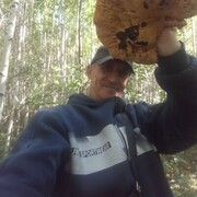 ���������� ����, ���� ������� Igor, 55 ���, ������������ ��� ������, ����� � ���������, c�������� ���������, ���������