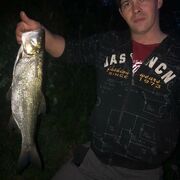  ,   Naum, 33 ,   ,   