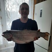 ���������� ������, ���� ������� �����, 47 ���, ������������ ��� ����� � ���������, c�������� ���������