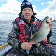 ���������� ��������, ���� ������� ������, 68 ���, ������������ ��� ������, ����� � ���������, c�������� ���������