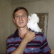  ,   Obivan70, 55 ,  