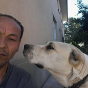 ���������� ������, ���� ������� Ismail, 43 ����, ������������ ��� c�������� ���������