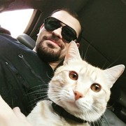 ���������� ���������, ���� ������� Bristol, 35 ���, ������������ ��� ������, ����� � ���������, c�������� ���������