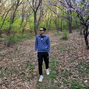  Ansan,   Blostt, 31 ,   ,   
