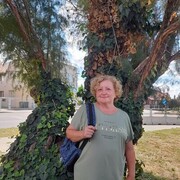  ,   , 52 ,   ,   