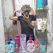  ,   Lion, 31 ,   ,   , c 